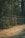 A chain-link fence runs alongside a wooded area, with tall trees visible behind it. The ground is covered with dry leaves, giving a sense of an autumn scene. Sunlight filters through the trees, creating dappled lighting on the fence and ground.