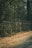 A chain-link fence runs alongside a wooded area, with tall trees visible behind it. The ground is covered with dry leaves, giving a sense of an autumn scene. Sunlight filters through the trees, creating dappled lighting on the fence and ground.