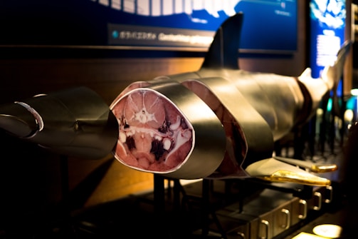 A realistic model of a shark is displayed, showcasing its internal anatomy with cross-sections revealing the musculature and internal organs. The model features metallic and realistic textures, and is well-lit with emphasis on anatomical accuracy.