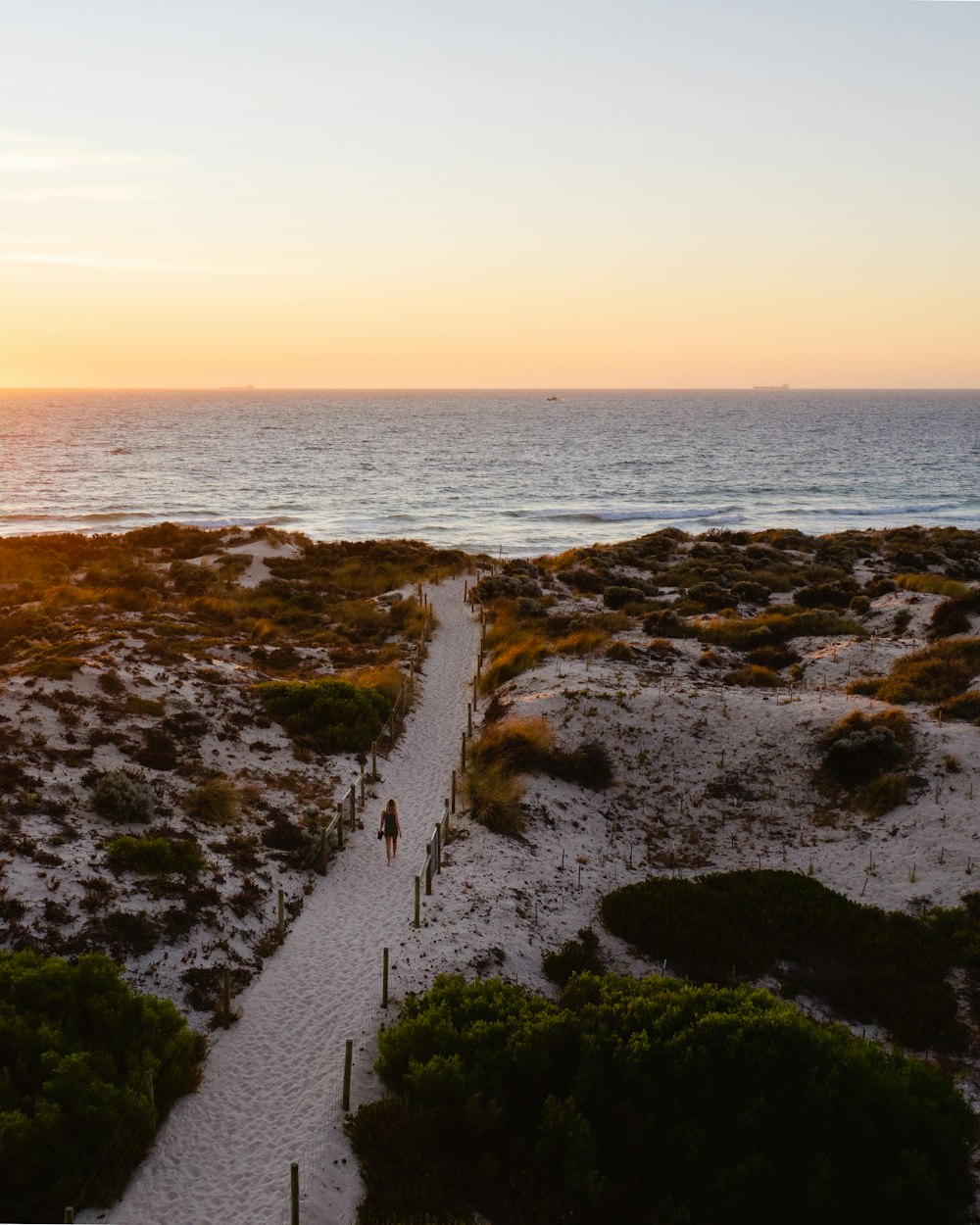 gray concrete pathway near body of water during sunset