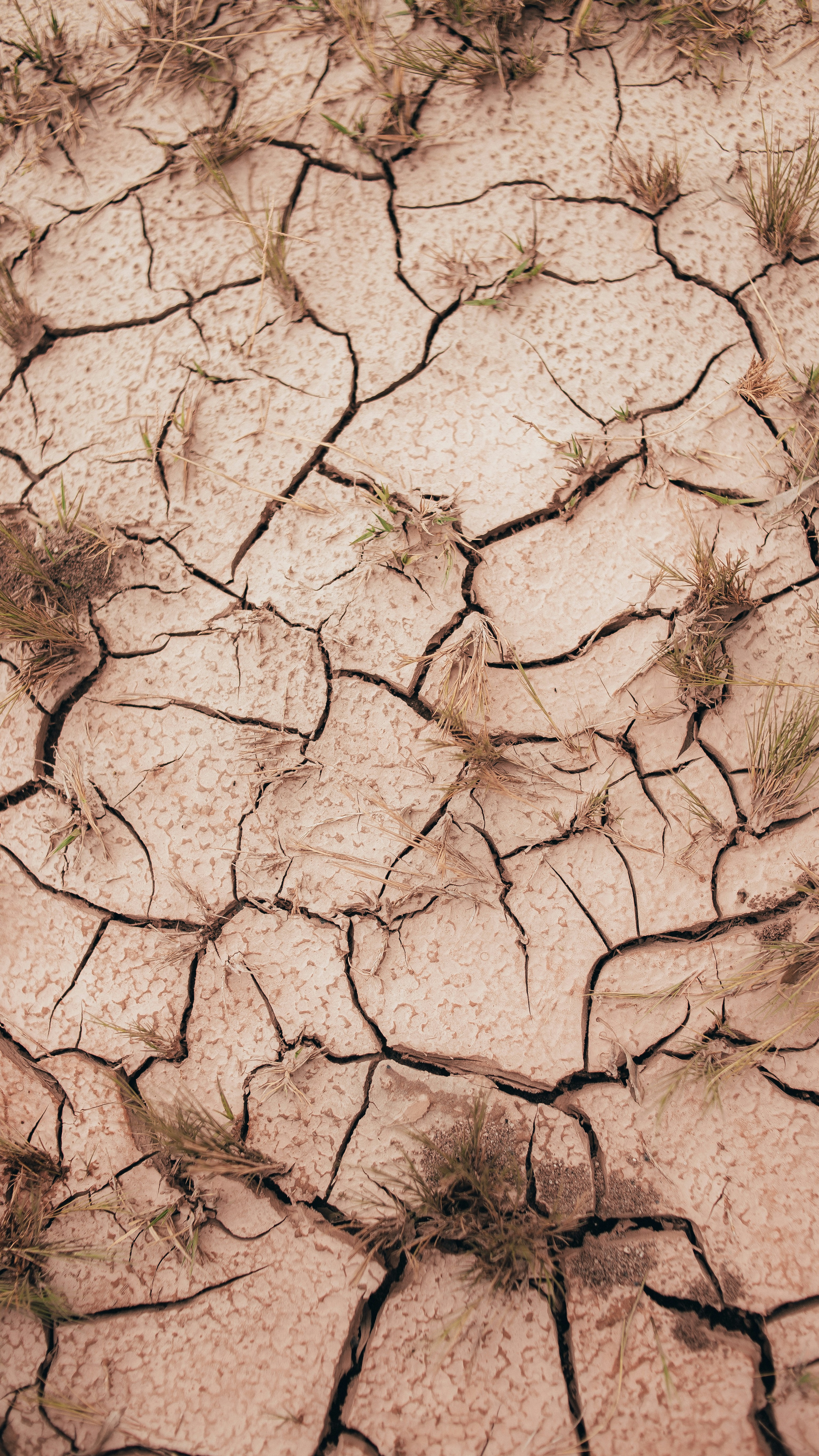 Photo by jabsaldivia