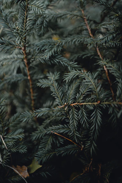 미끄럼방지 패드