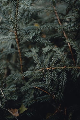 Tatoueur au travail dans le studio Encre et Âme à Marseille