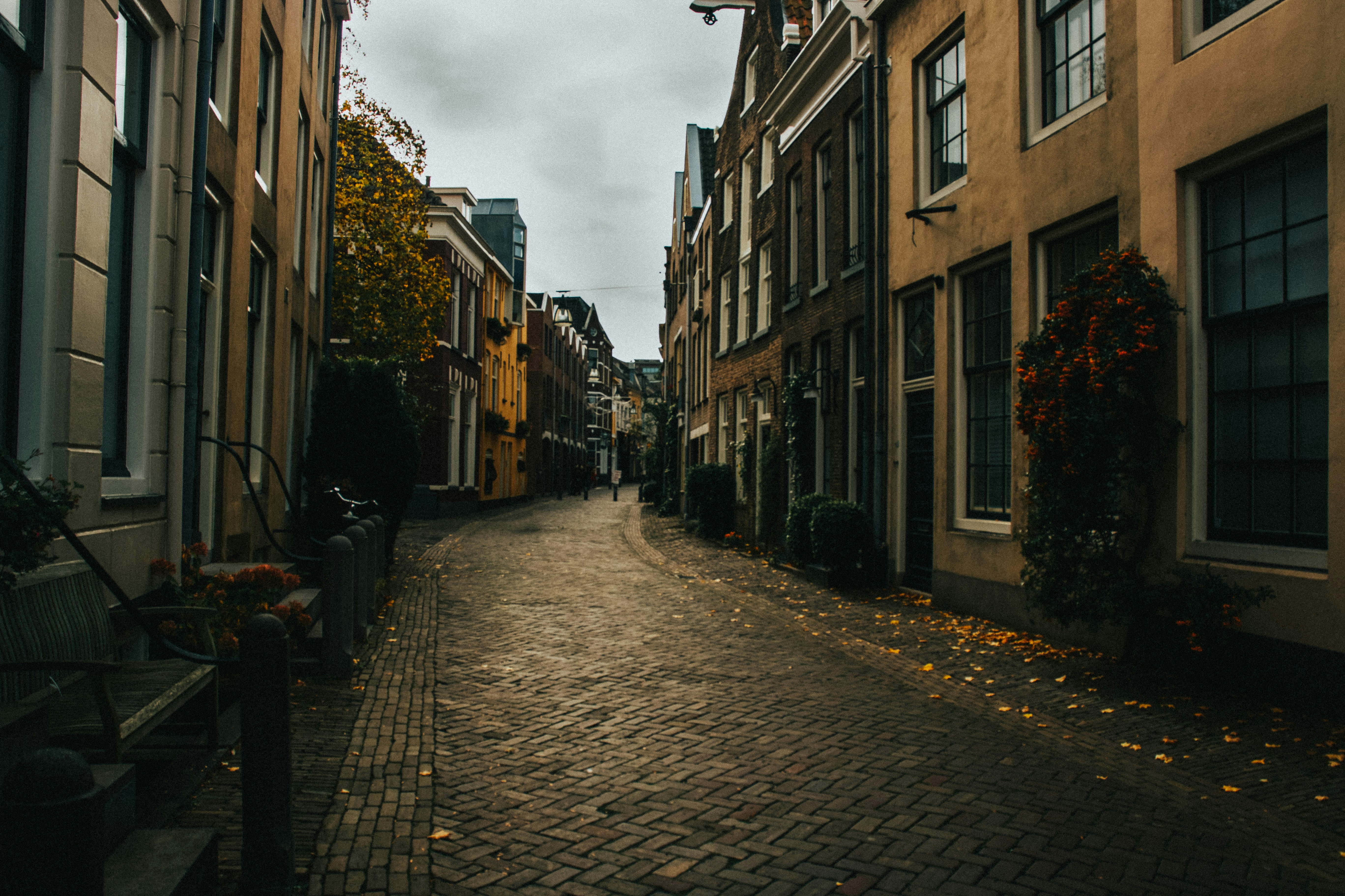 People Walking On Street Between Buildings During Daytime Photo Free Grey Image On Unsplash