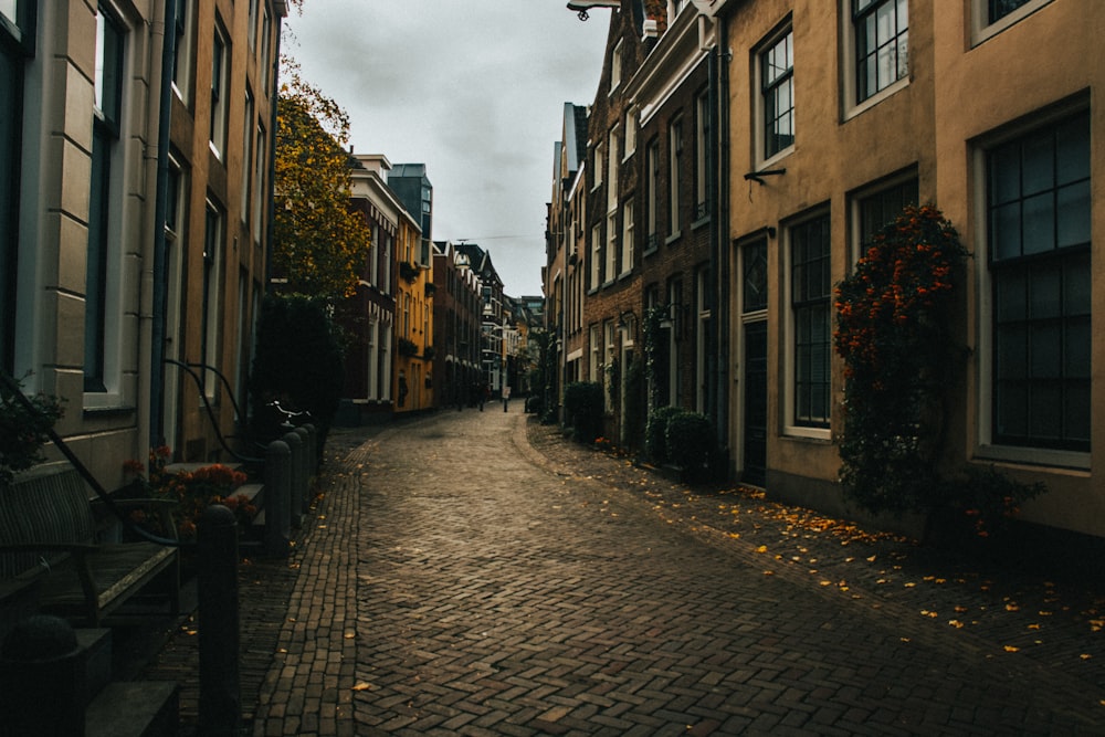 people walking on street between buildings during daytime