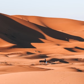 white and brown desert under blue sky during daytime