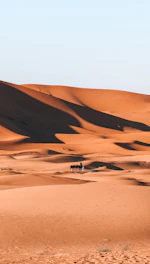 white and brown desert under blue sky during daytime
