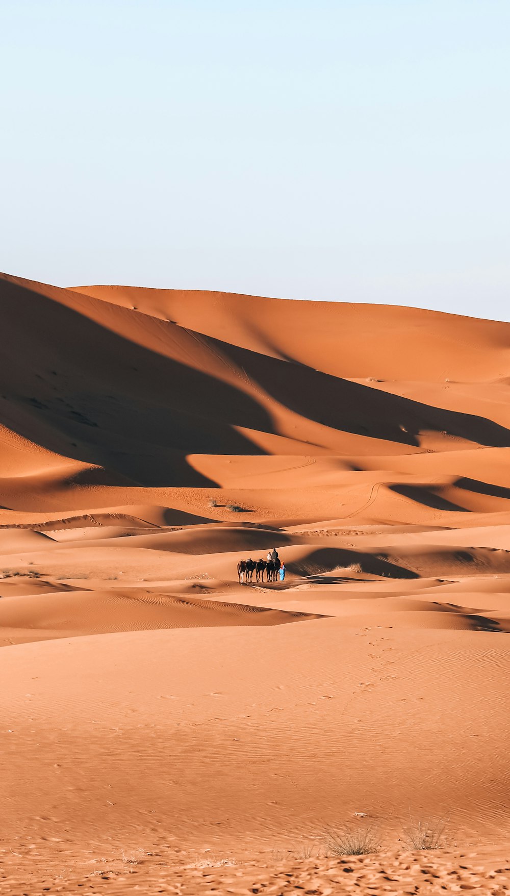 desierto blanco y marrón bajo el cielo azul durante el día