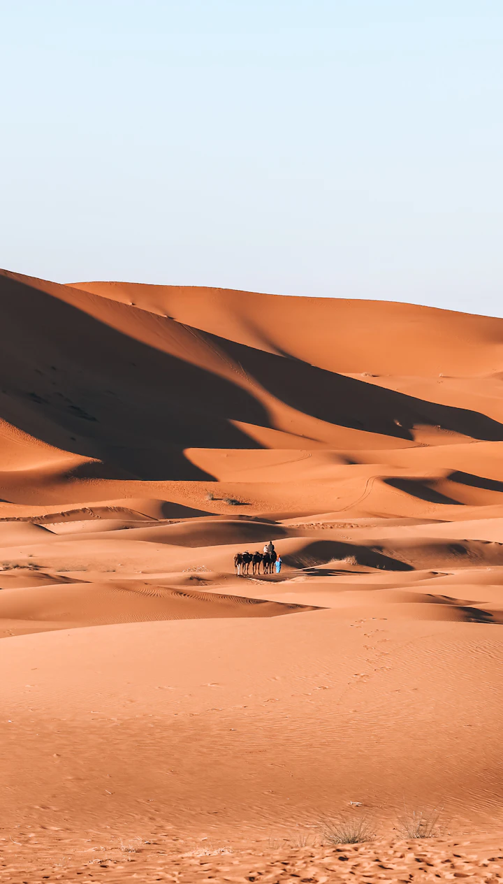 Dunes et paysages du Sahara marocain, photographie d’illustration