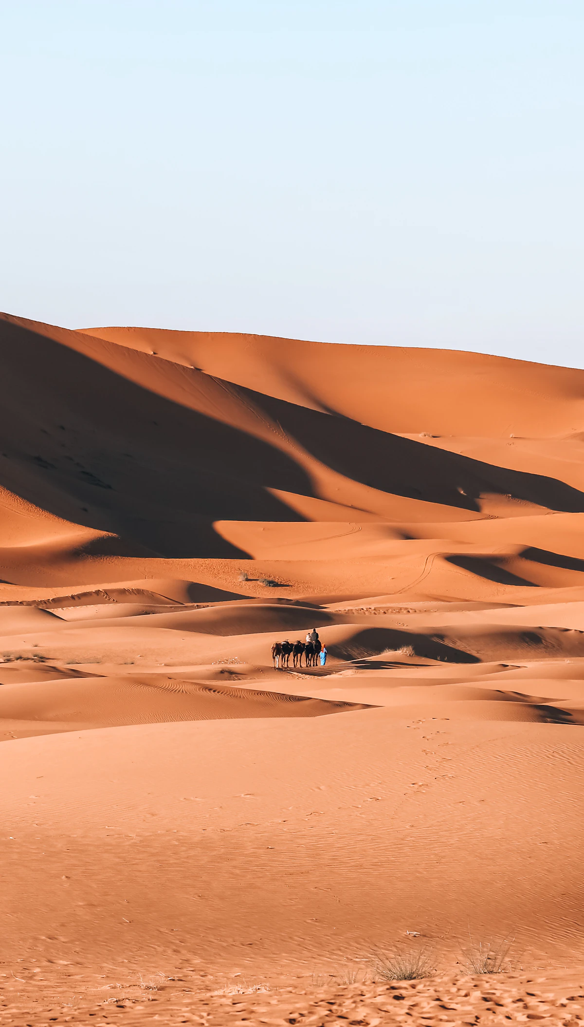Draa Valley Hiking & Trekking Guide
