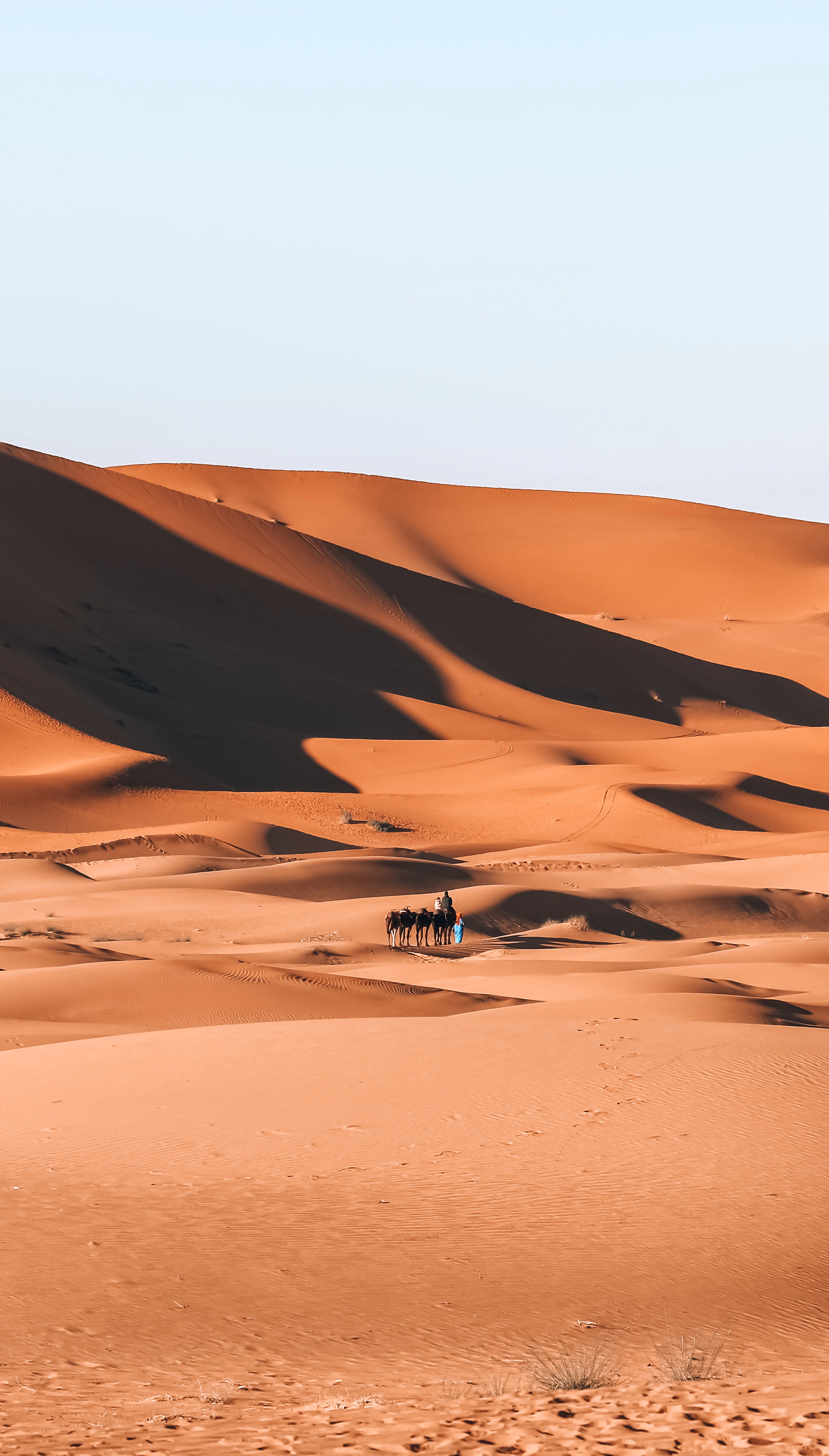 Sweeping orange sand dunes in the Moroccan Sahara with a small camel caravan crossing in the distance