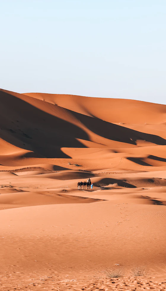 Dunas doradas del Erg Chebbi