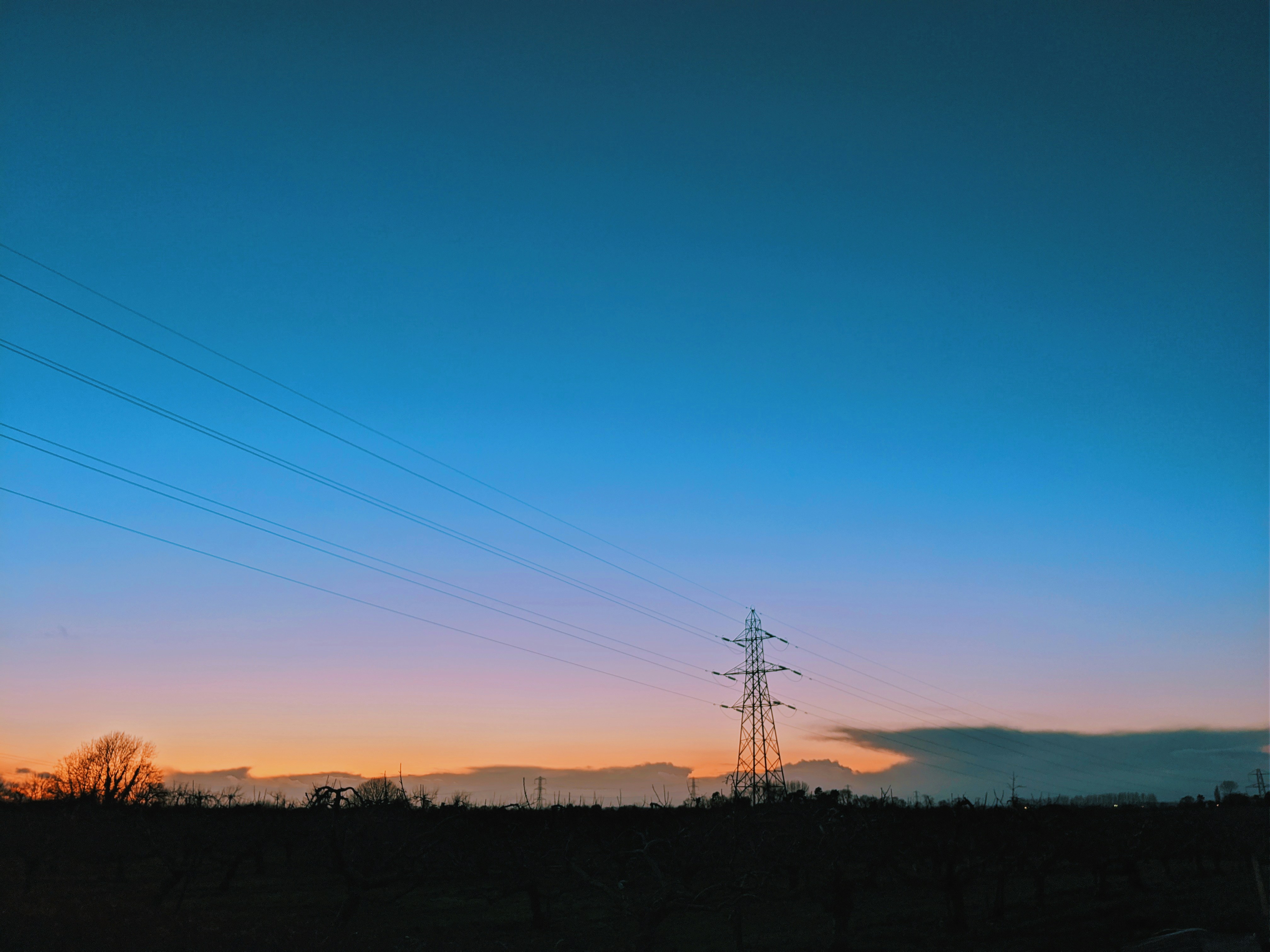 silhouette of trees and electric posts during sunset