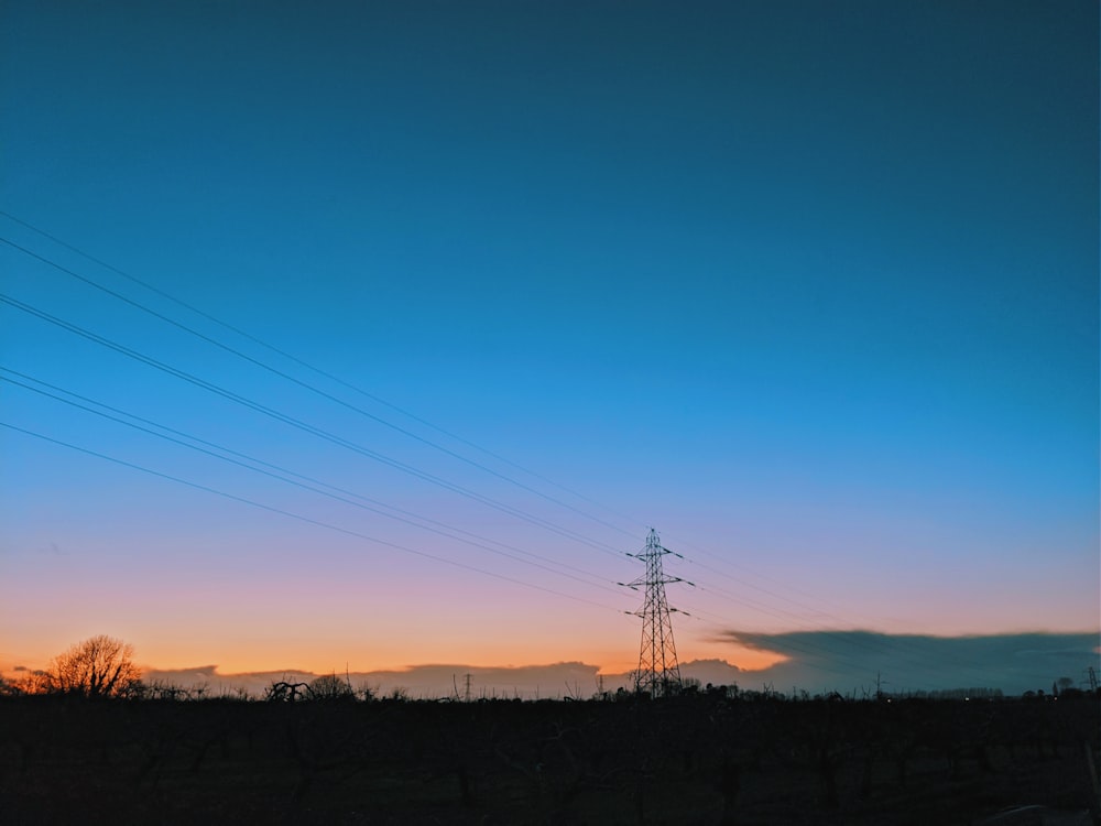 silhouette of trees and electric posts during sunset