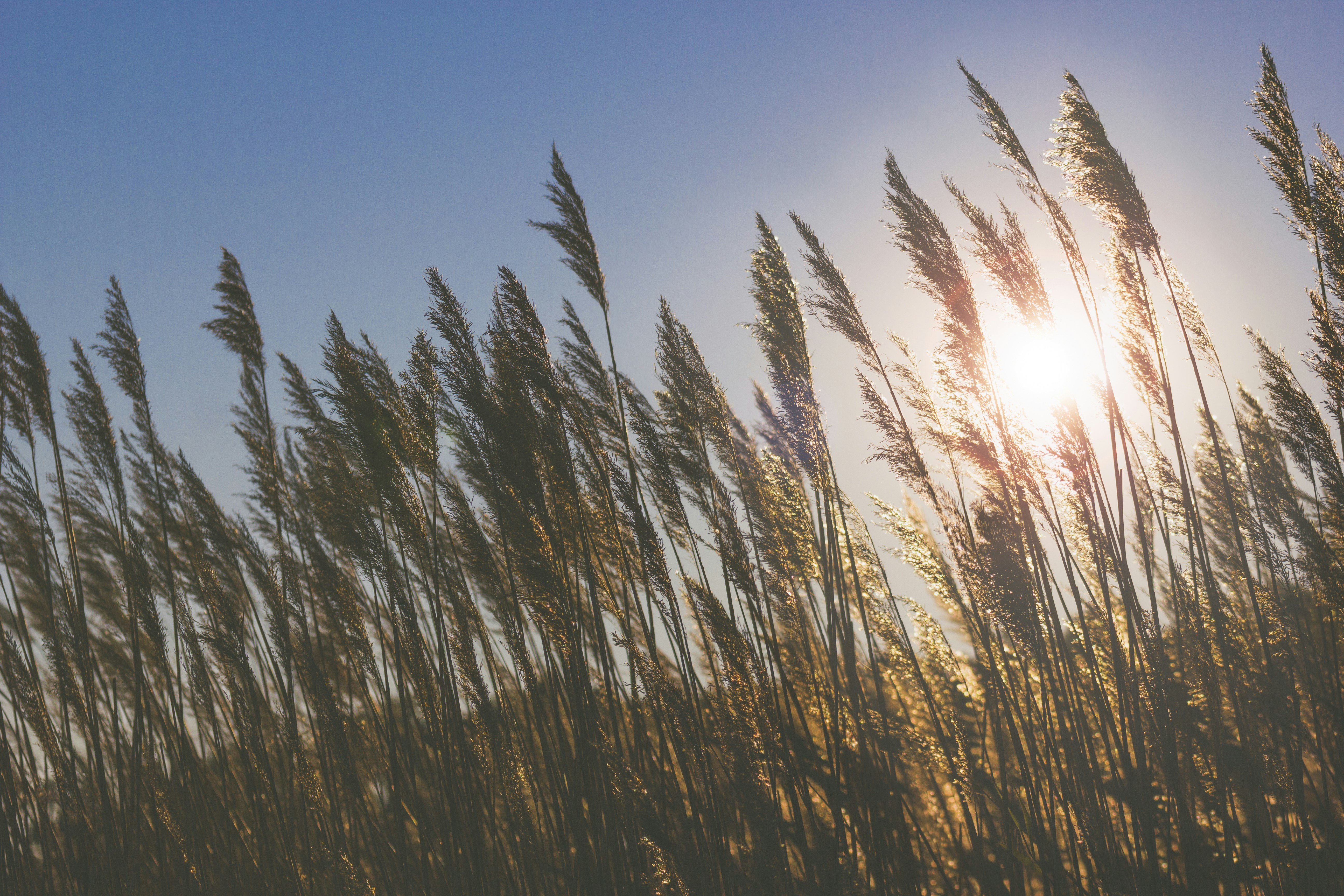 Photo by isaacquesada