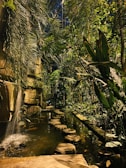 A lush and vibrant indoor garden featuring a cascading waterfall that flows into a tranquil pond bordered by round stepping stones. Dense green foliage and tall palm-like plants create a tropical atmosphere, while dappled lighting filters through the leaves.