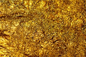 brown dried leaves on ground
