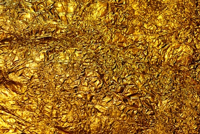 brown dried leaves on ground