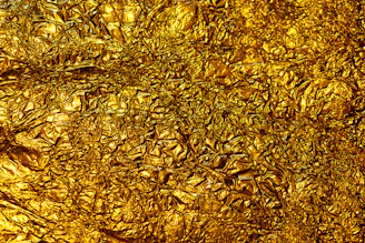 brown dried leaves on ground