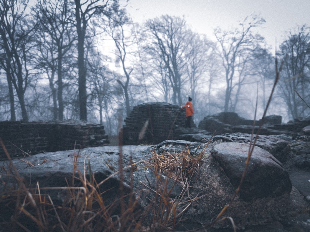 person in black jacket sitting on rock near trees during daytime