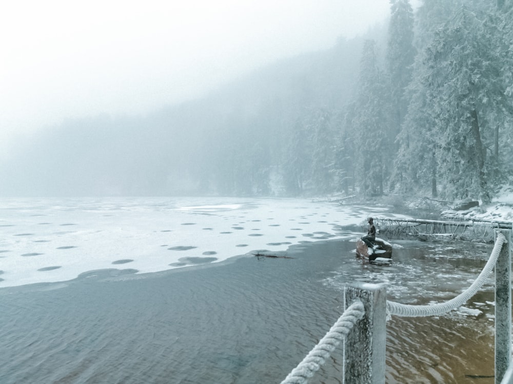 a person riding a horse on a snowy beach