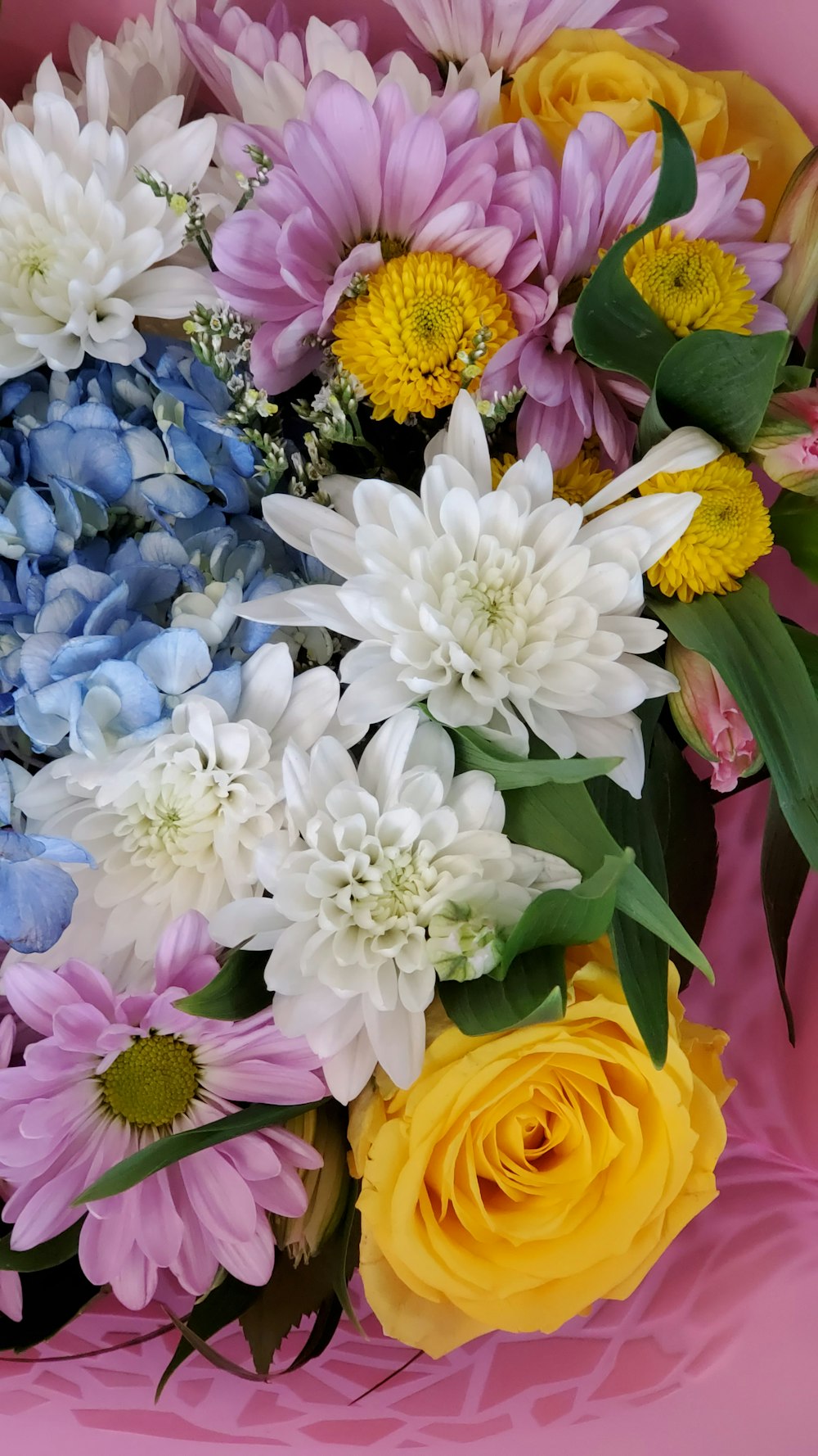 white purple and yellow flowers