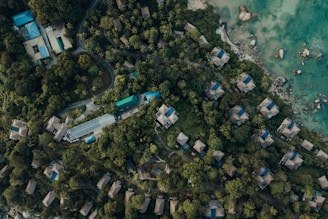 An aerial view of a lush, tropical landscape featuring numerous houses with blue roofs surrounded by dense greenery. A winding road weaves through the area, leading towards a coastline with turquoise waters and scattered rocks.
