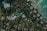 An aerial view of a lush, tropical landscape featuring numerous houses with blue roofs surrounded by dense greenery. A winding road weaves through the area, leading towards a coastline with turquoise waters and scattered rocks.