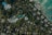 An aerial view of a lush, tropical landscape featuring numerous houses with blue roofs surrounded by dense greenery. A winding road weaves through the area, leading towards a coastline with turquoise waters and scattered rocks.