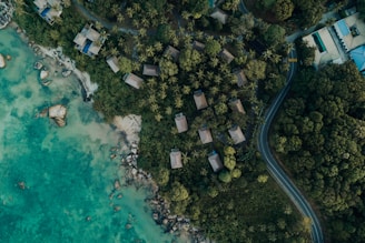 A scenic view of Urabá’s landscape highlighting real estate opportunities.