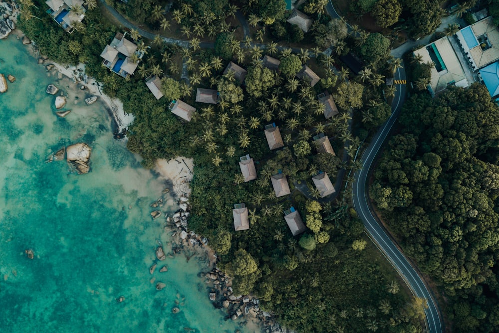 aerial view of city buildings and green water