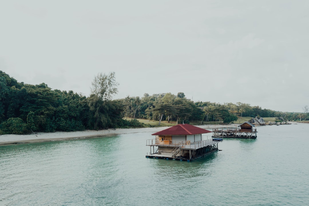 brown wooden house on lake during daytime