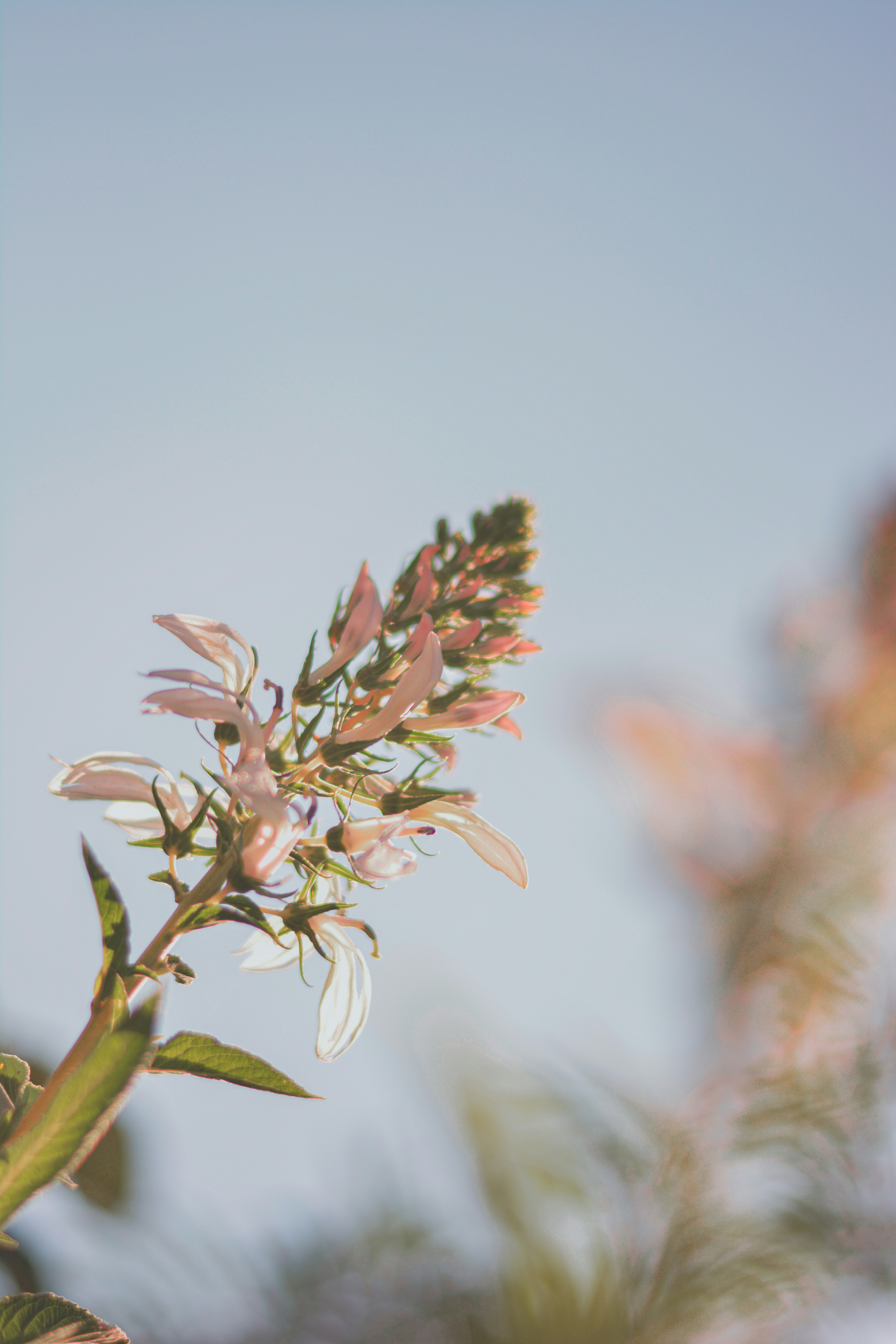 Photo by mohnishlandge