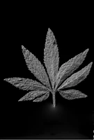 Detailed watercolor of a single leaf with veins painted in charcoal and terracotta shades.