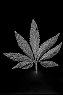 Detailed watercolor of a single leaf with veins painted in charcoal and terracotta shades.