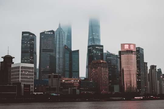 city buildings under gray sky during daytime in Pudong Skyline China
