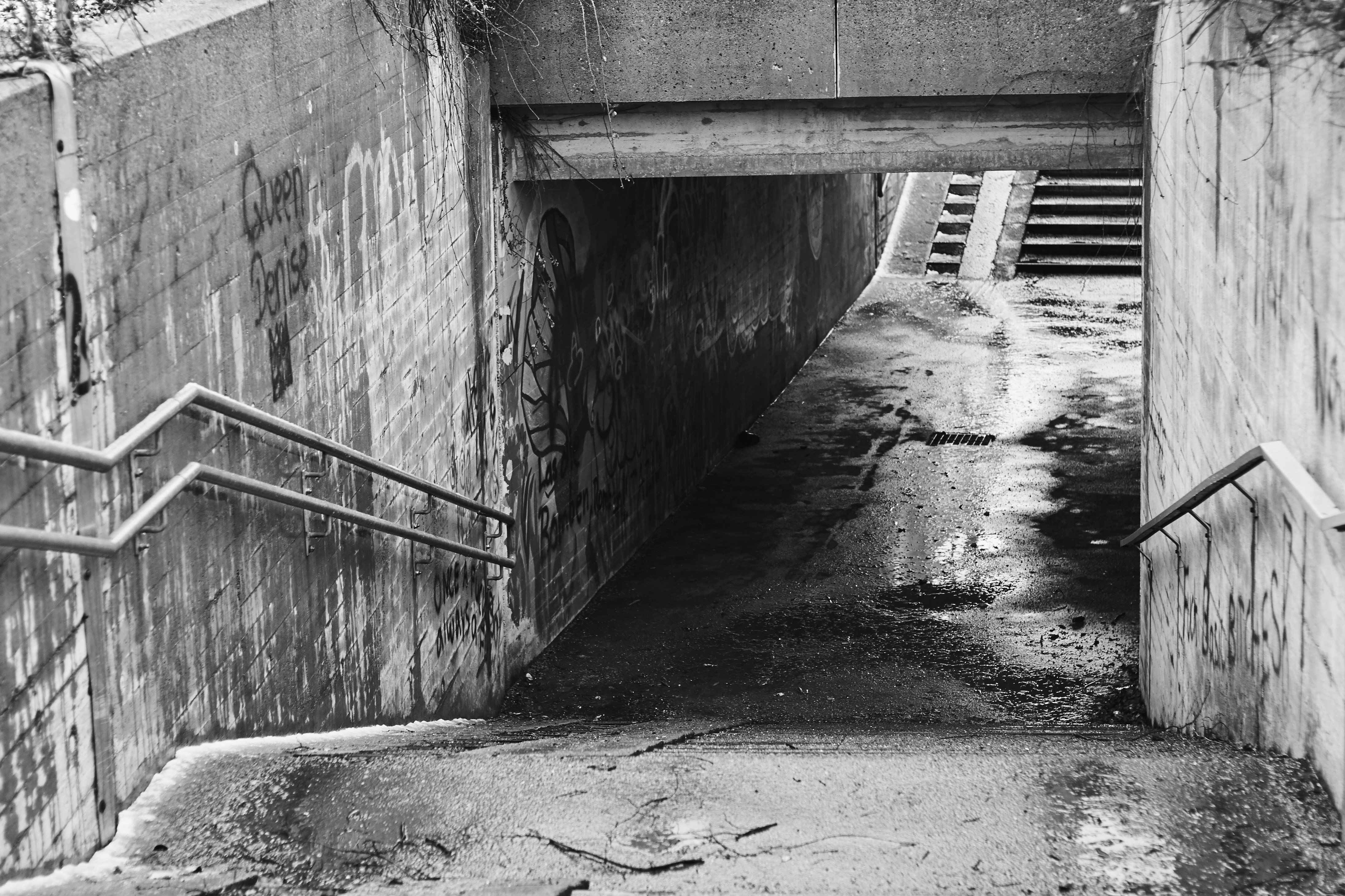 Photo by klemensjose