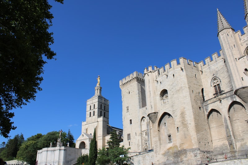 Palais des Papes &agrave; Avignon