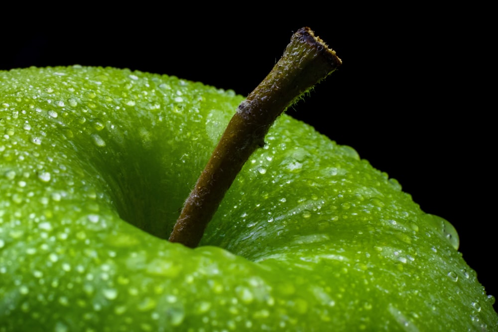 grüne Apfelfrucht mit weißem Hintergrund