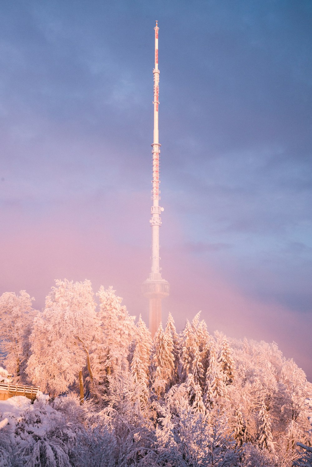 white tower surrounded by trees during daytime