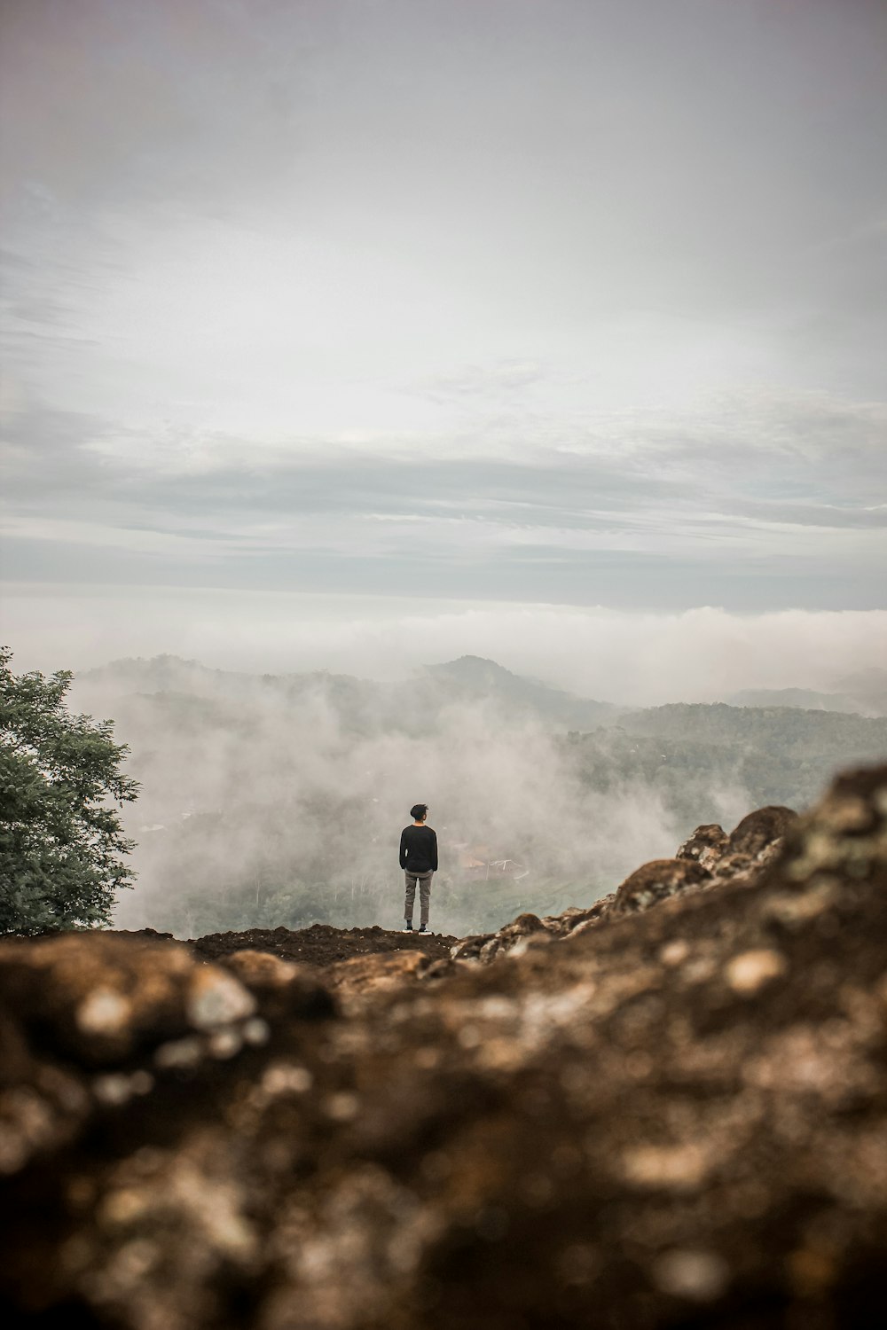 person in black jacket standing on brown rock near green trees during daytime