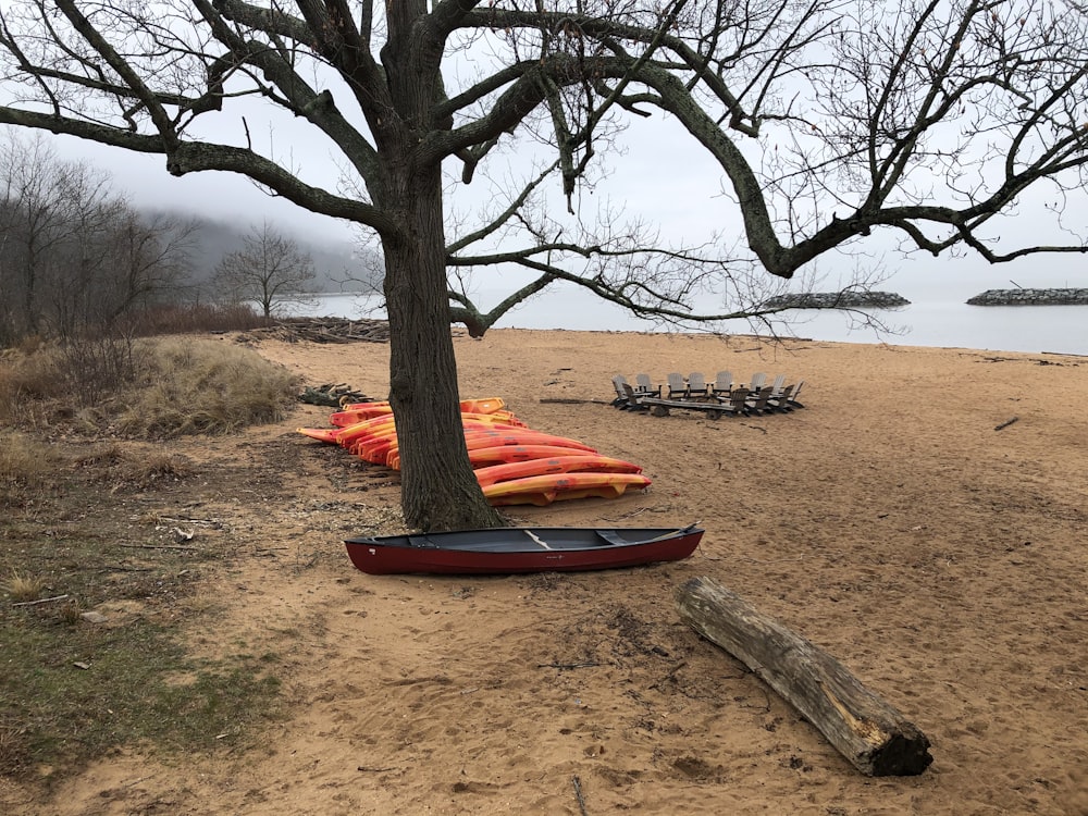 Kayak rouge et blanc sur le sable brun près du plan d’eau pendant la journée