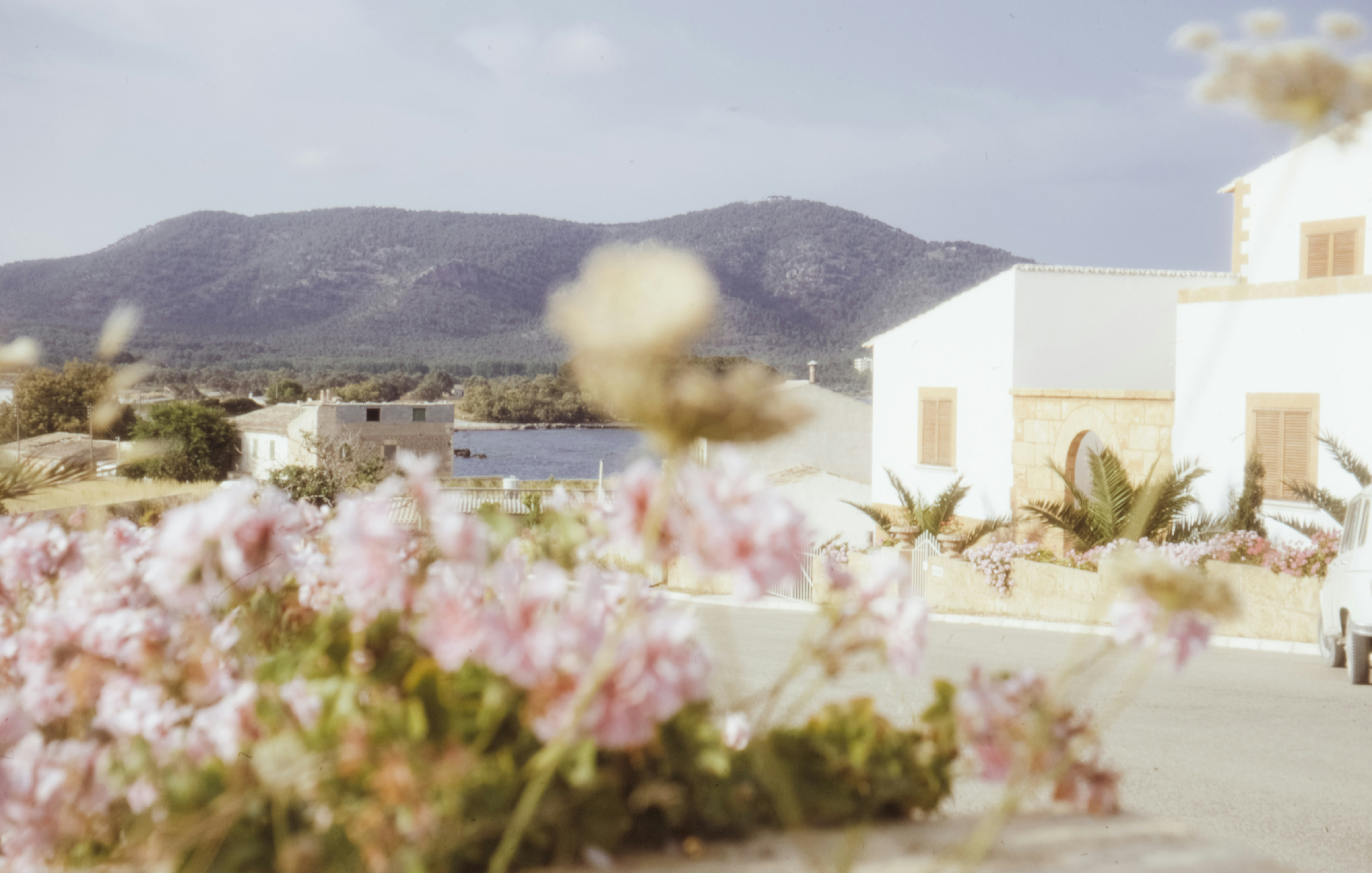 Photo by anniespratt