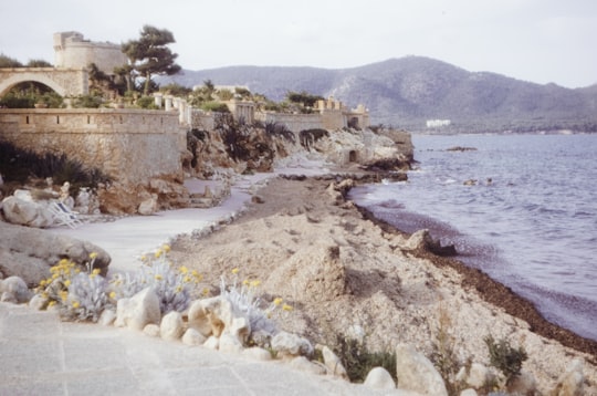 brown rock formation near body of water during daytime in Majorca Spain