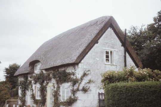 white and brown concrete house in Isle of Wight United Kingdom