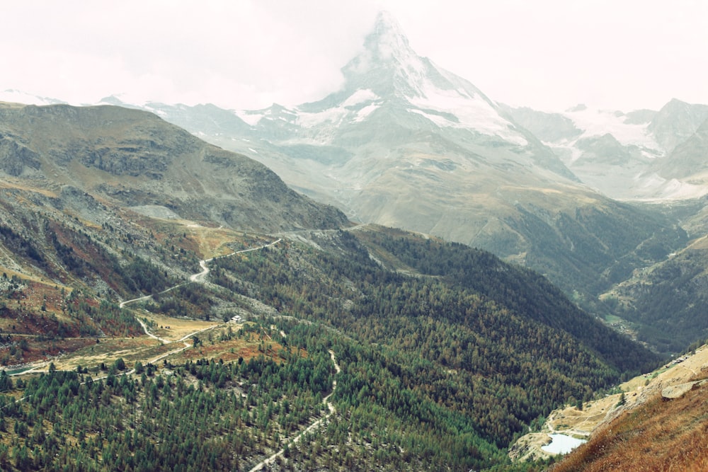 green trees on mountain under white clouds during daytime