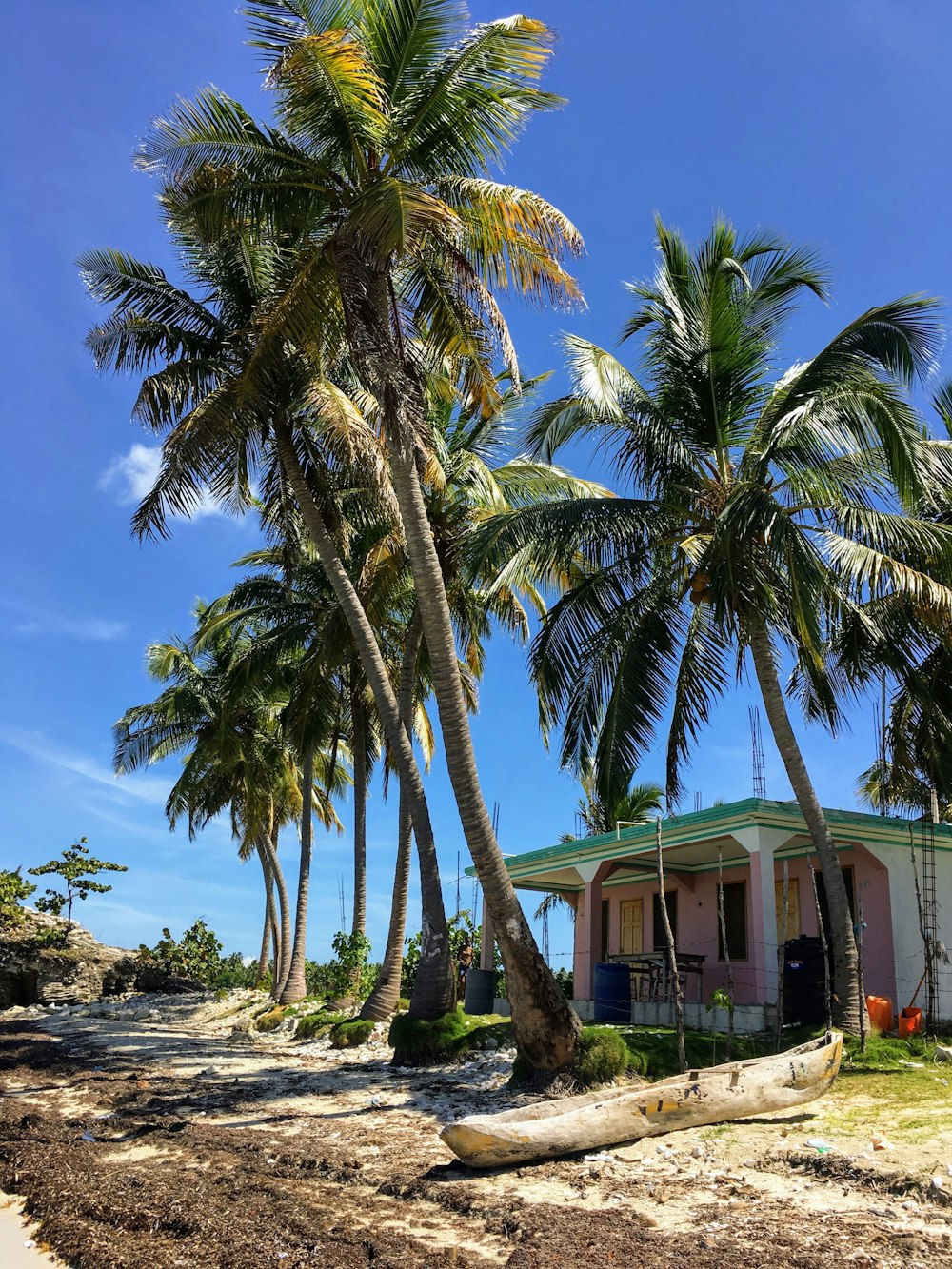 white concrete house near green palm trees during daytime