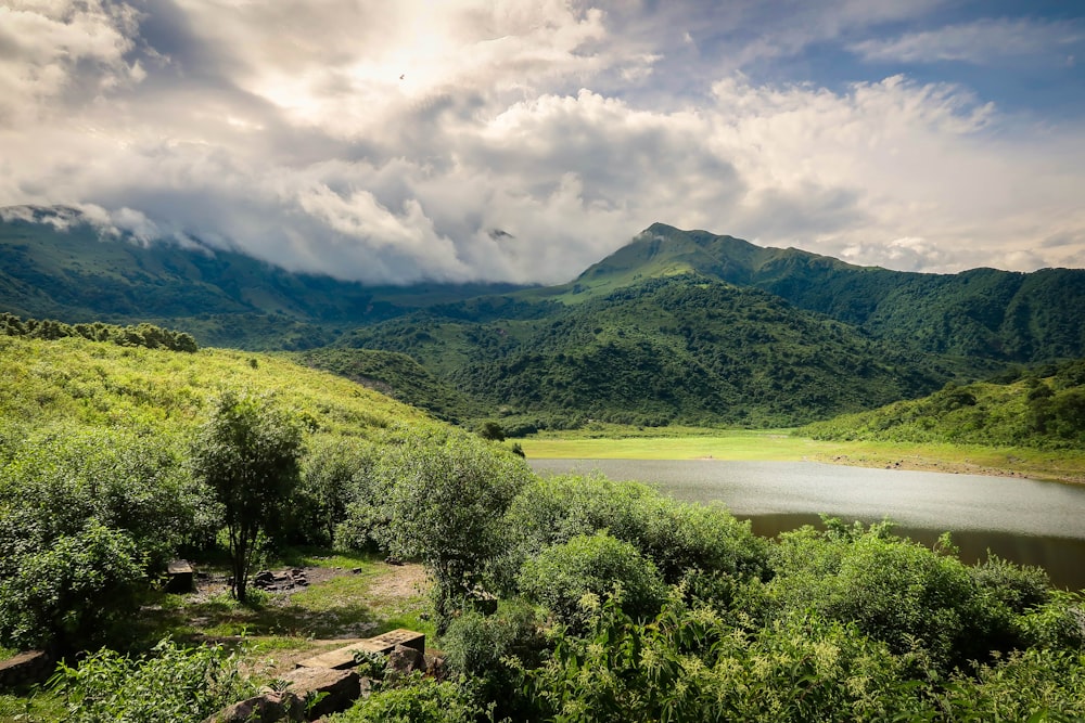 arbres verts près du lac sous ciel nuageux pendant la journée