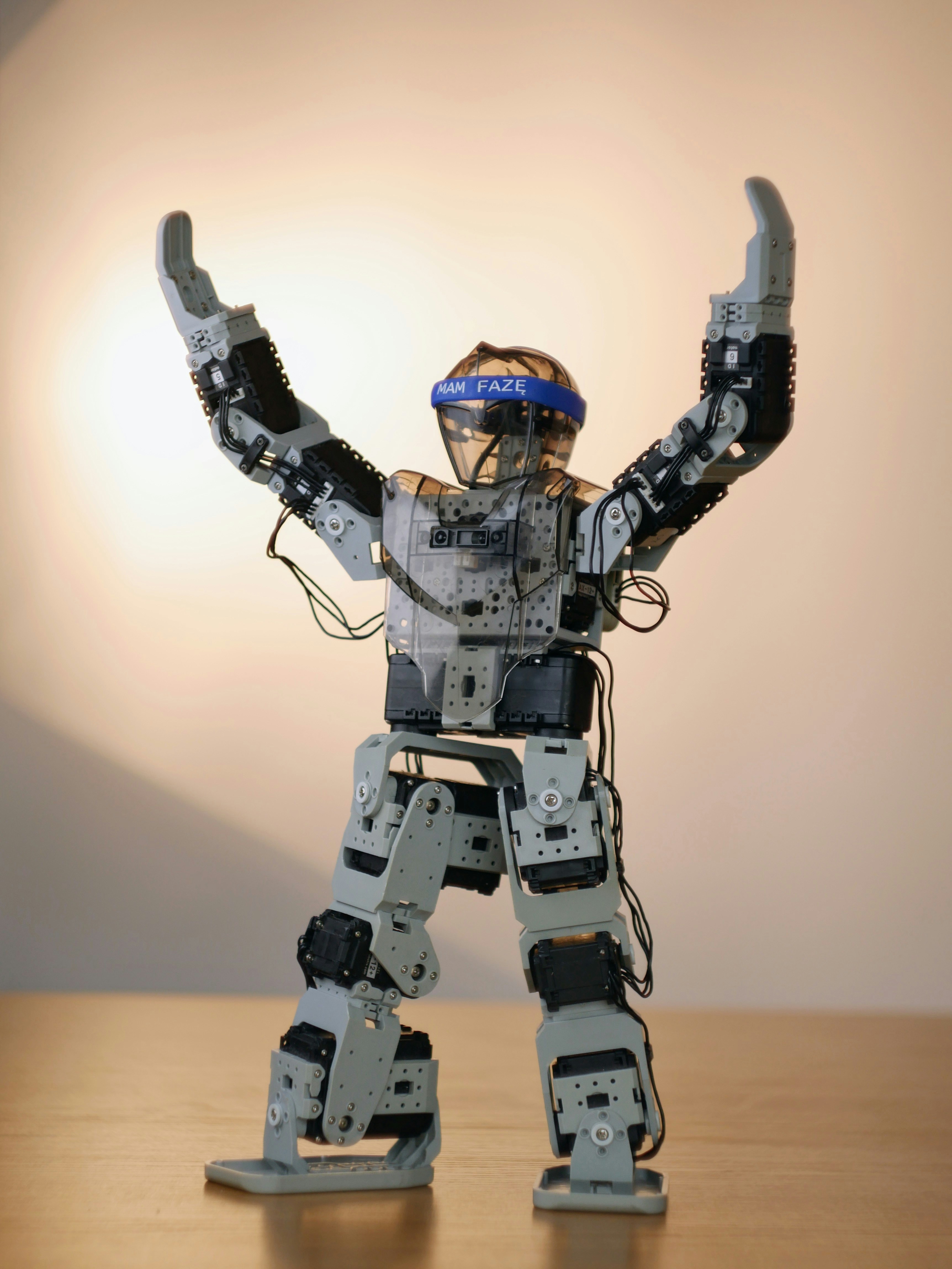 Robots Could Be Working Sooner