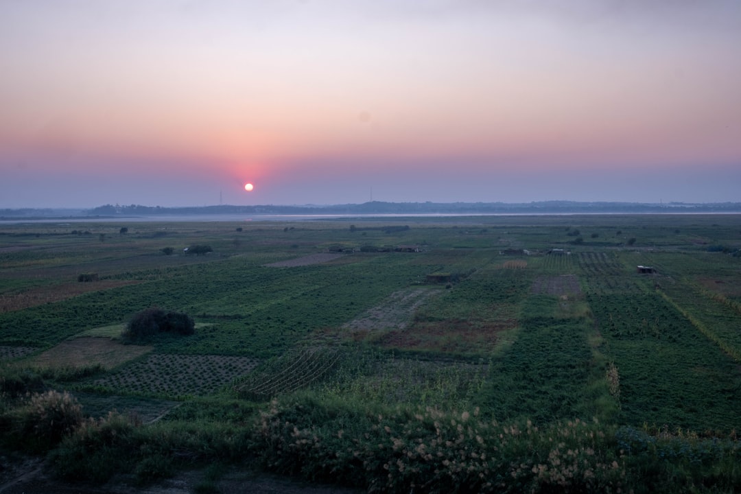 the sun is setting over a field of crops, Sunset over the Farming in Ayeyarwady middle island.
